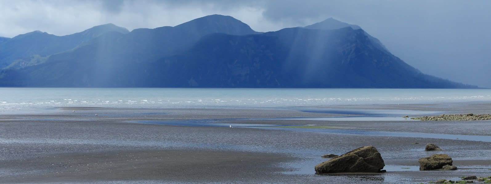 Misty Beach